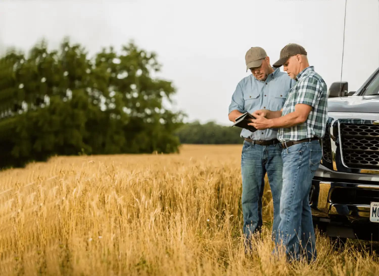 guys looking at ipad in a field