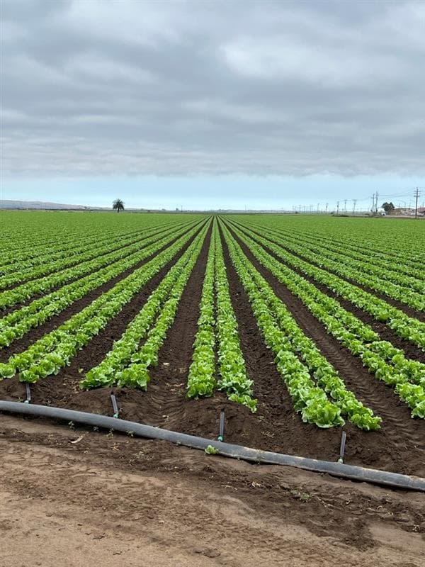 Experienced Leadership