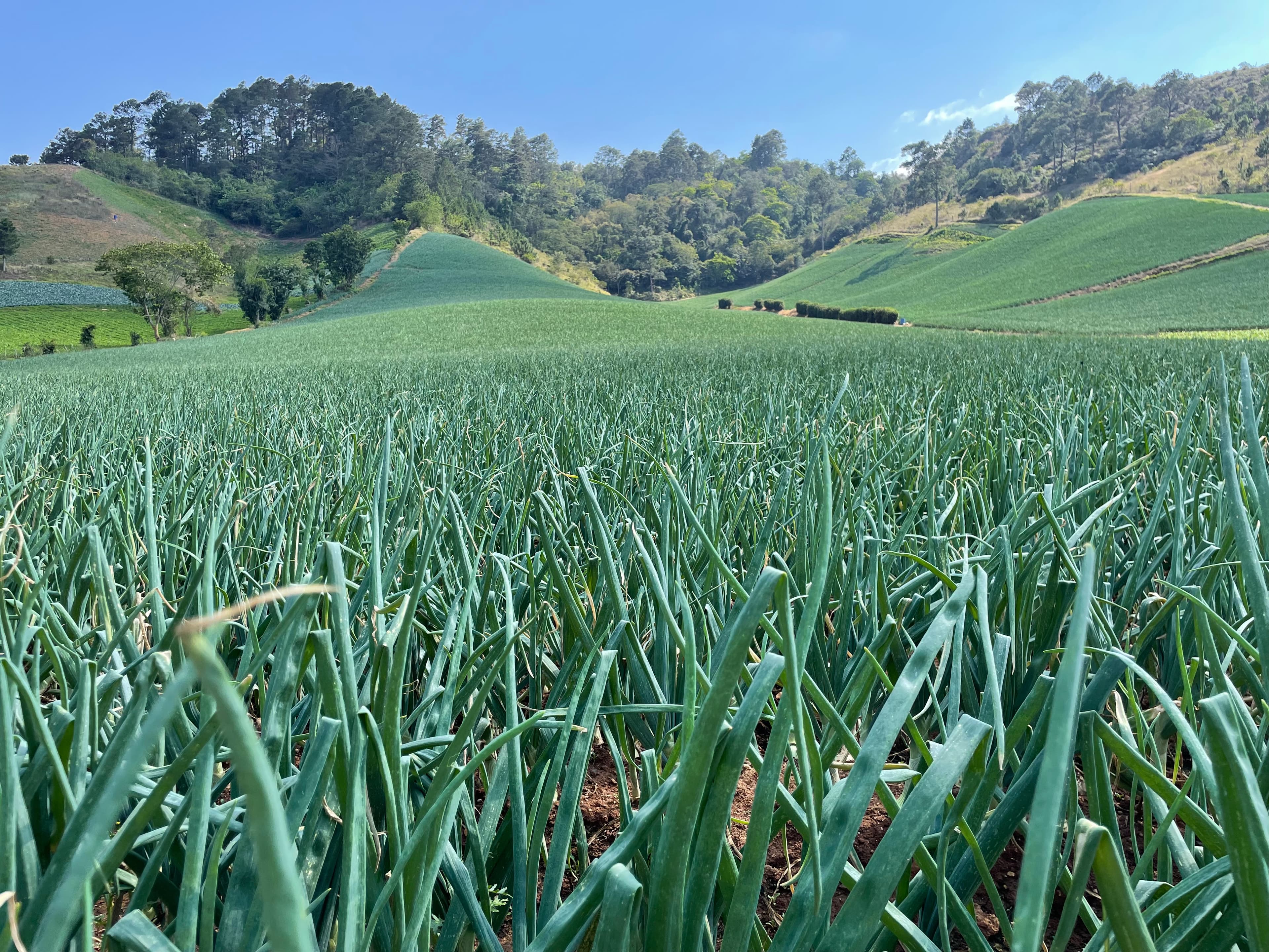 Experienced Leadership