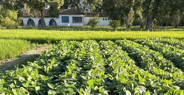 Experienced Leadership