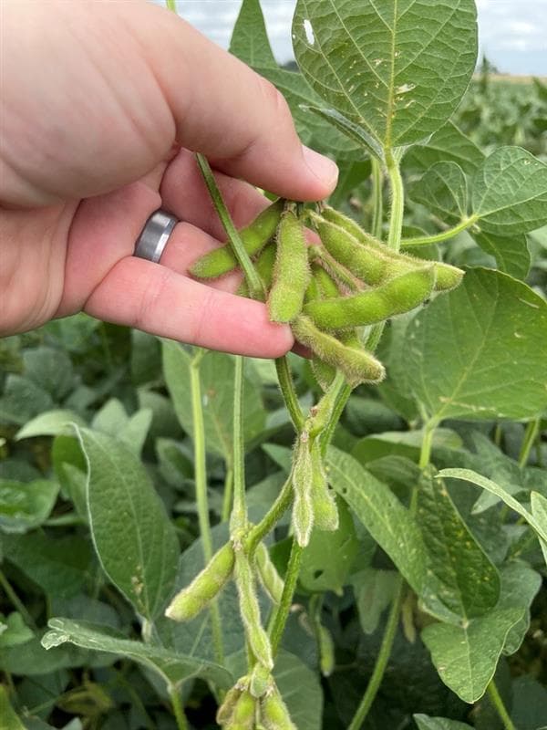 Experienced Leadership