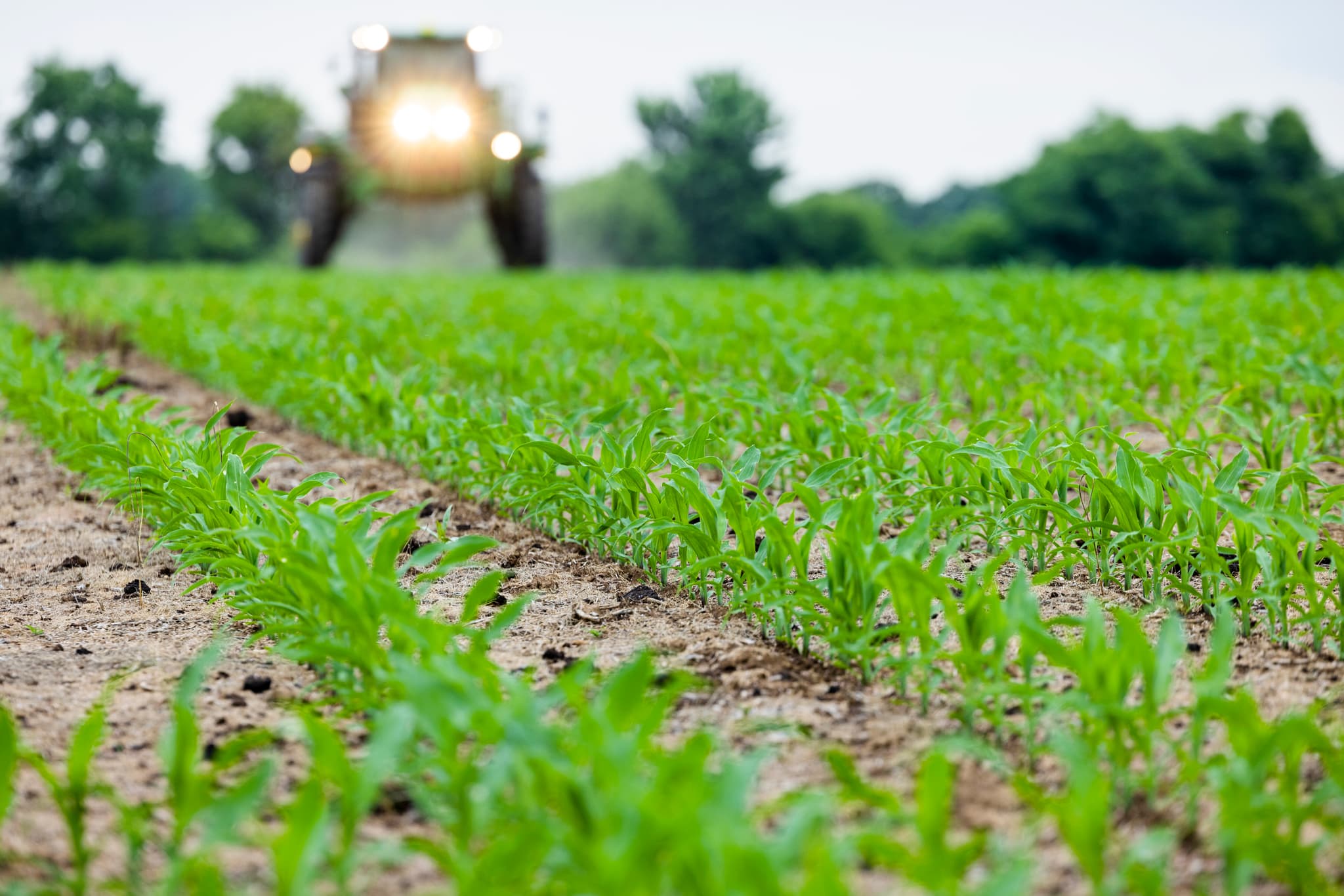 Micro Cropping Micro But Mighty: The Power of Micronutrients in Crop Production